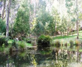 bridge at little dene